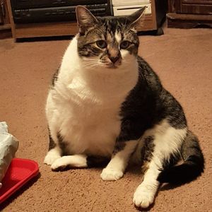 Meet your Posher, Tonya